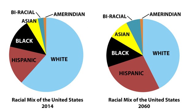 Change in population: Racial Mix of the United States, 2014 and 2060