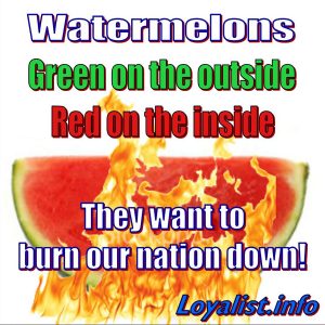 Watermelon Flames, 900x900